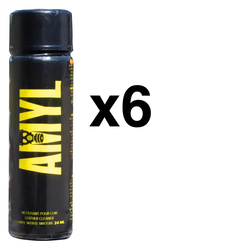 BGP Leather Cleaner AMYL LONG 24ml x6